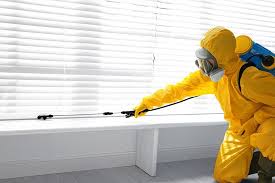 Best Bed Bug Extermination  in Haynesville, LA